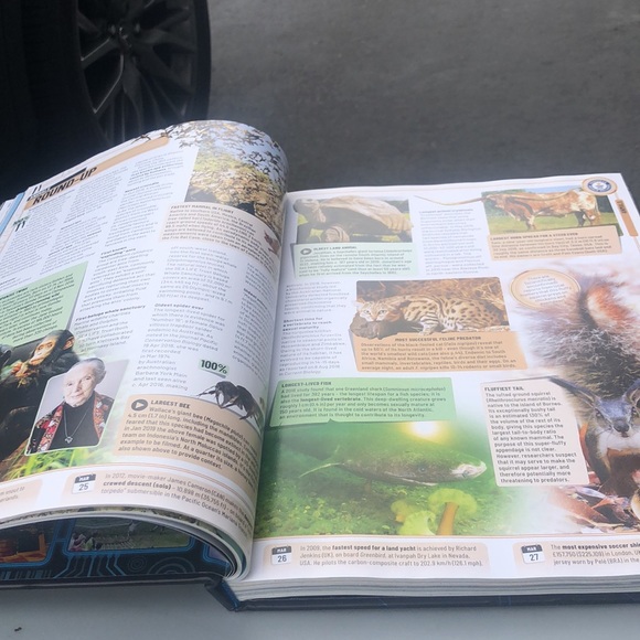 Guinness World Records 2020 plus Tousand of new records - Picture 8 of 12